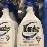 Roundup Lawsuits Growing